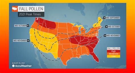 Avoid outdoor activities in the early morning, and be sure to shower and change. . Accuweather allergy